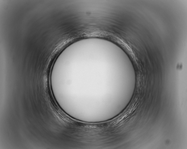 X0000101210298200806270900