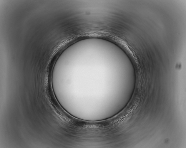 X0000101210299200806270900
