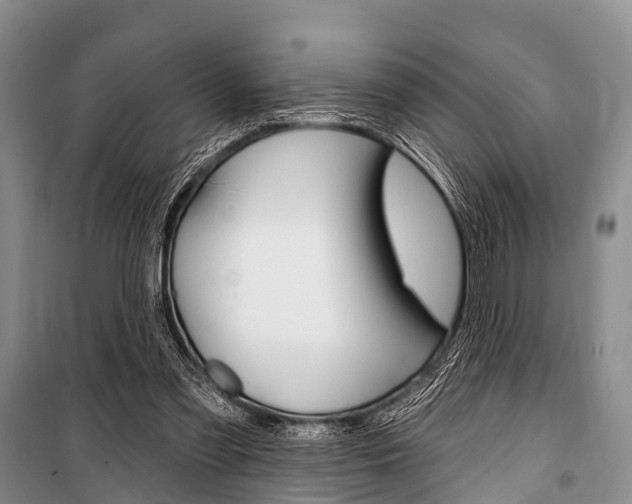 X0000101210301200806270900