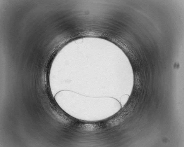 X0000101210302200806270900