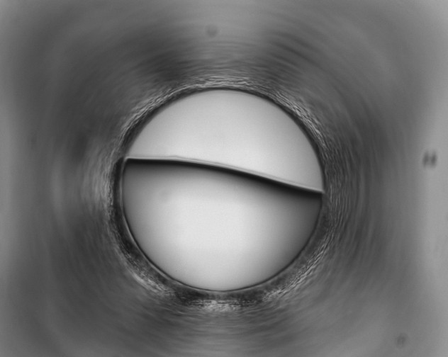 X0000101210303200806270900