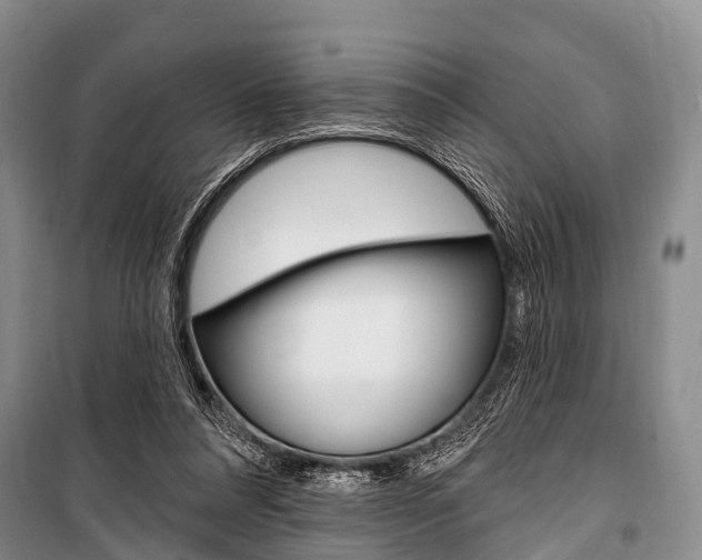 X0000101210304200806270900