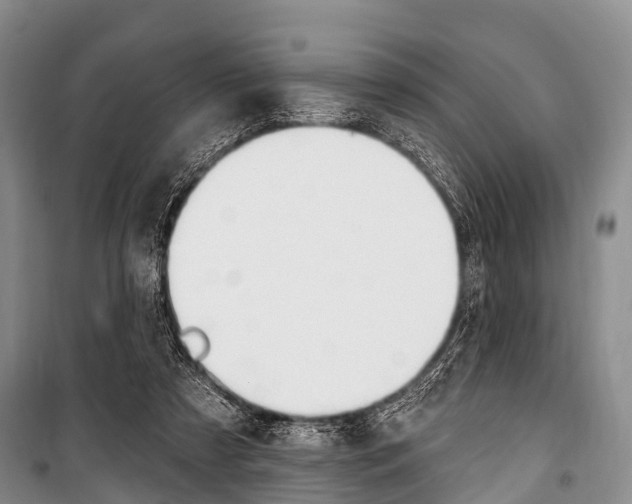 X0000101210305200806270900
