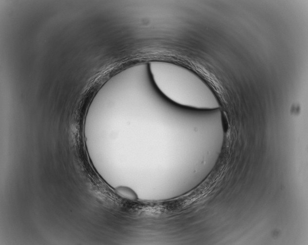 X0000101210306200806270900