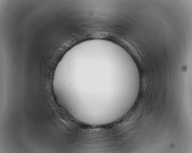 X0000101210307200806270900