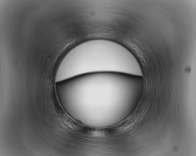 X0000101210308200806270900
