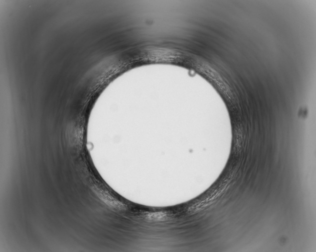X0000101210309200806270900