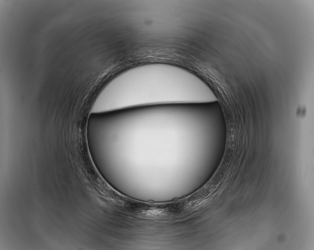 X0000101210312200806270900