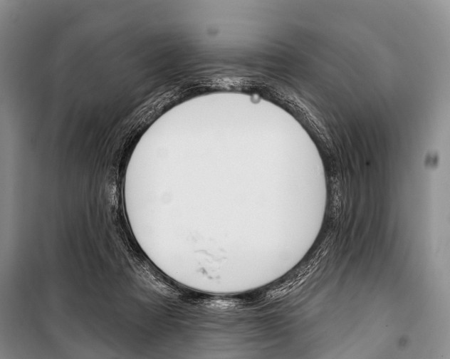 X0000101210313200806270900