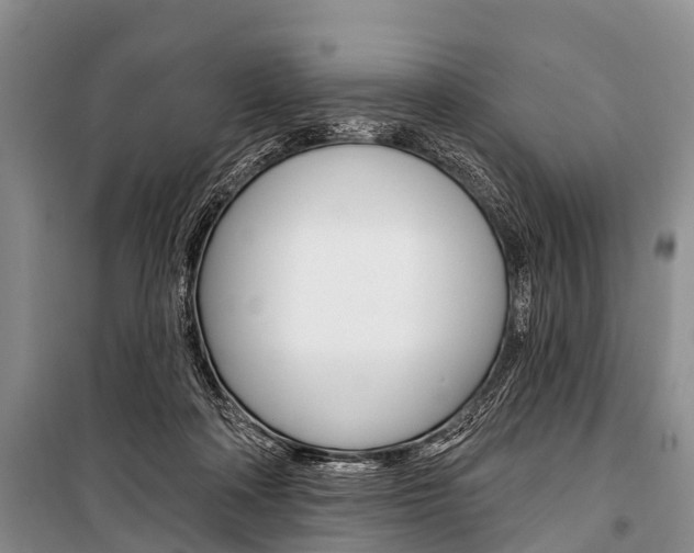 X0000101210314200806270900