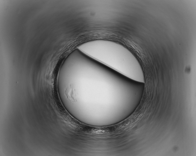 X0000101210315200806270900
