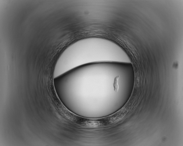 X0000101210316200806270900