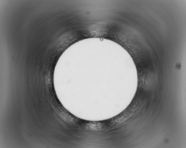 X0000101210317200806270900