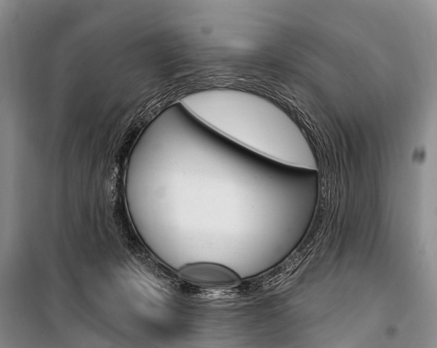 X0000101210319200806270900