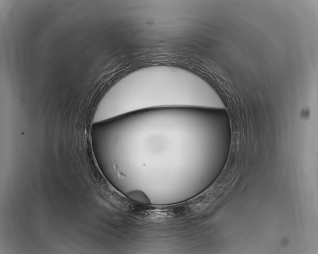 X0000101210320200806270900