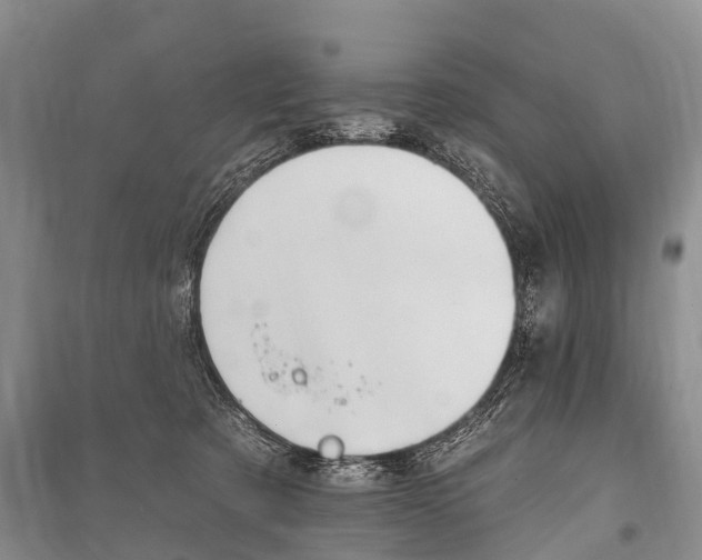 X0000101210321200806270900