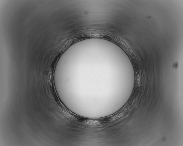 X0000101210322200806270900