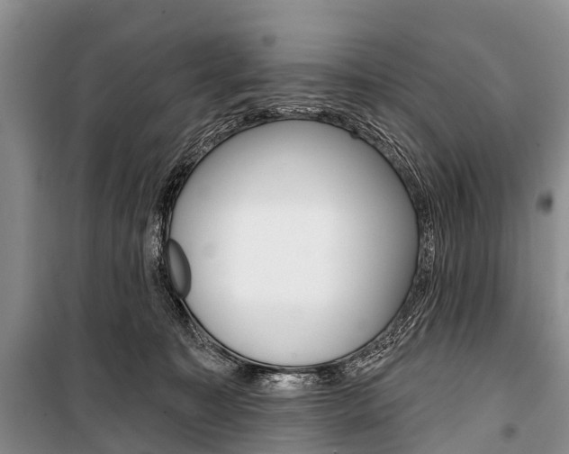 X0000101210323200806270900