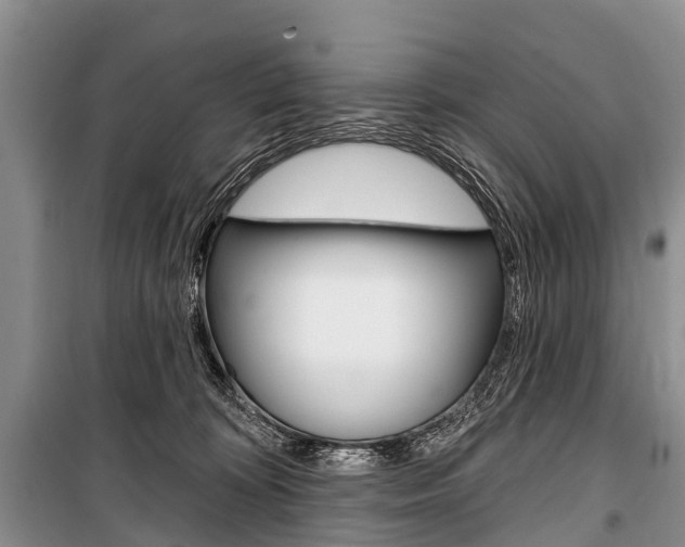 X0000101210324200806270900
