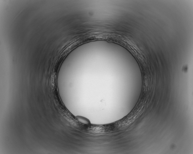 X0000101210325200806270900