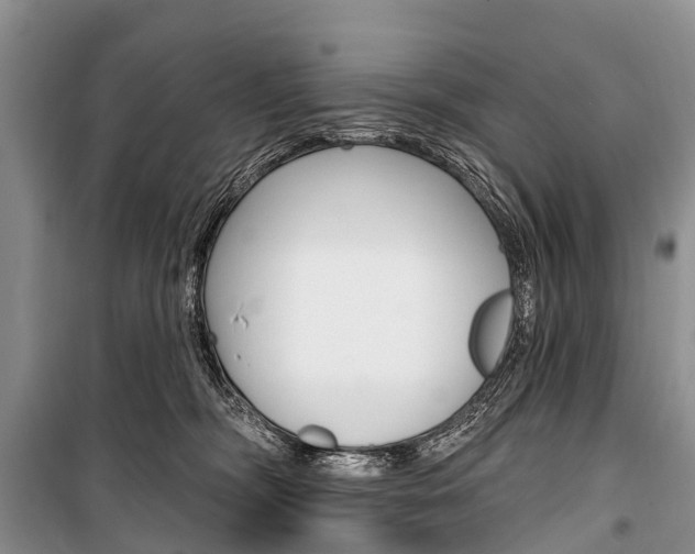 X0000101210326200806270900