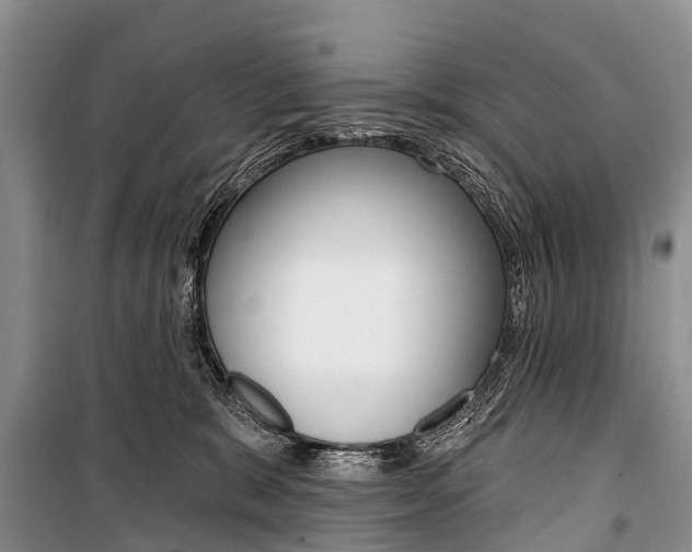 X0000101210327200806270900