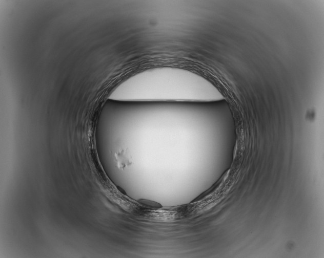 X0000101210328200806270900