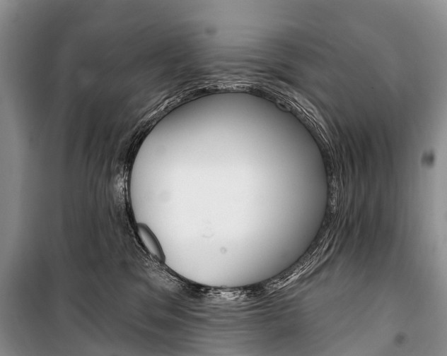 X0000101210329200806270900