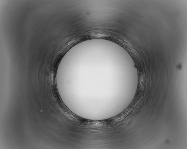 X0000101210330200806270900