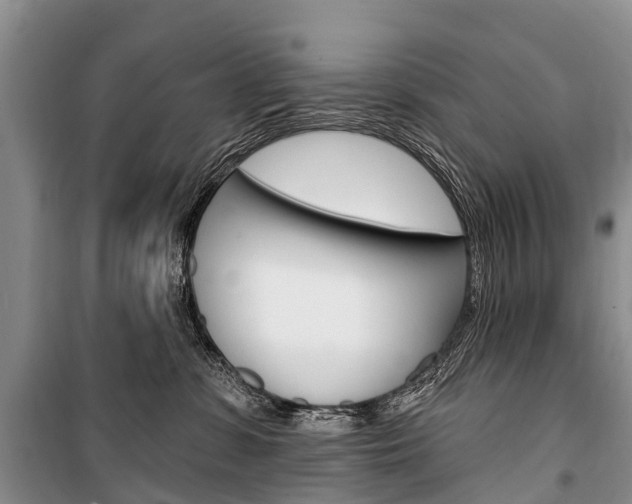 X0000101210331200806270900