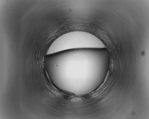 X0000101210332200806270900