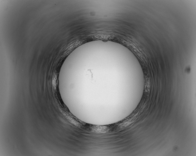X0000101210334200806270900