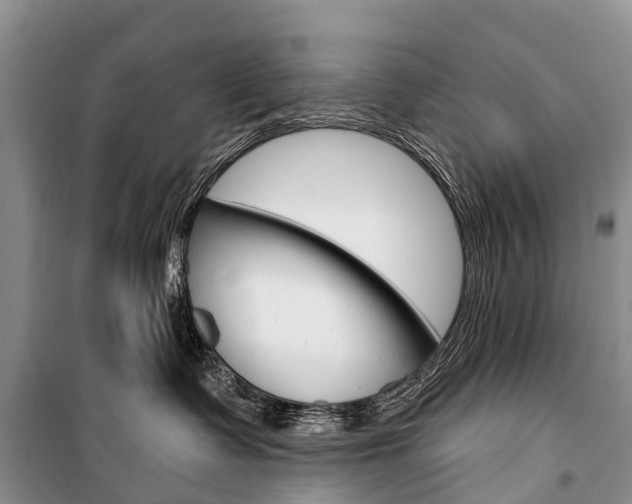X0000101210335200806270859