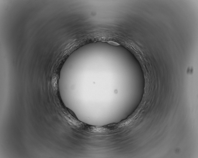 X0000101210336200806270859
