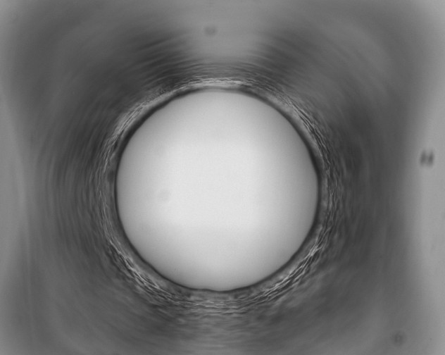 X0000101210337200806270859