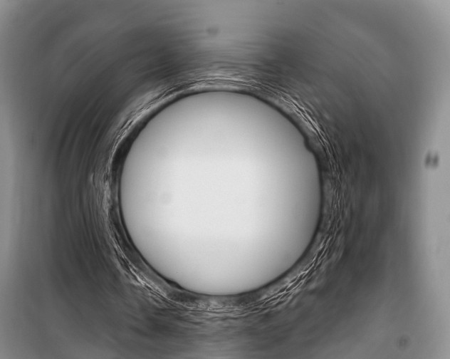 X0000101210338200806270859