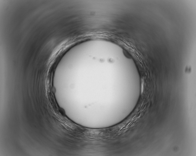 X0000101210339200806270859
