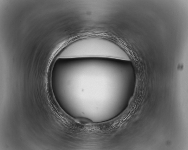 X0000101210340200806270859