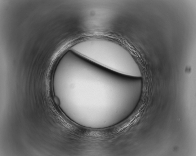 X0000101210341200806270859
