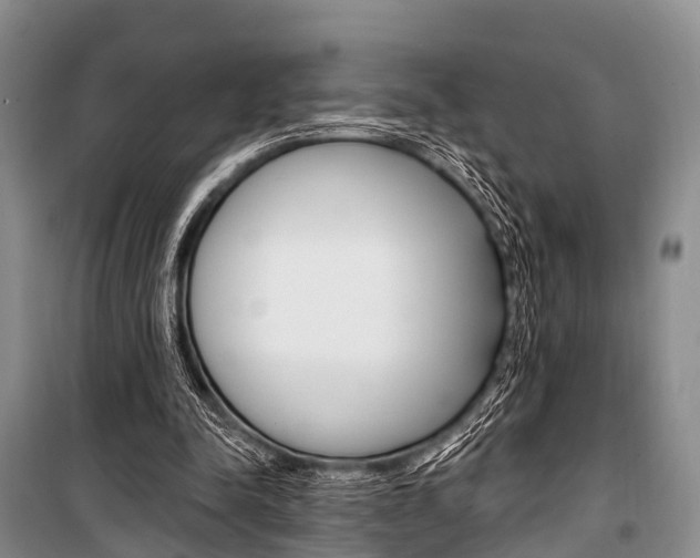 X0000101210342200806270859