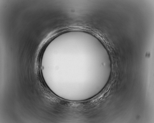 X0000101210343200806270859