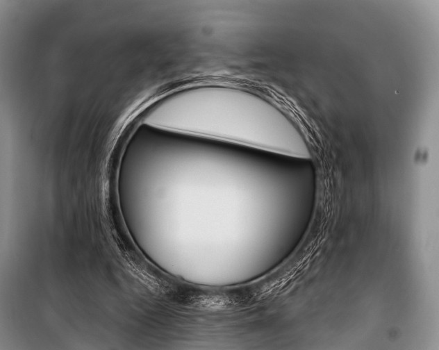 X0000101210344200806270859