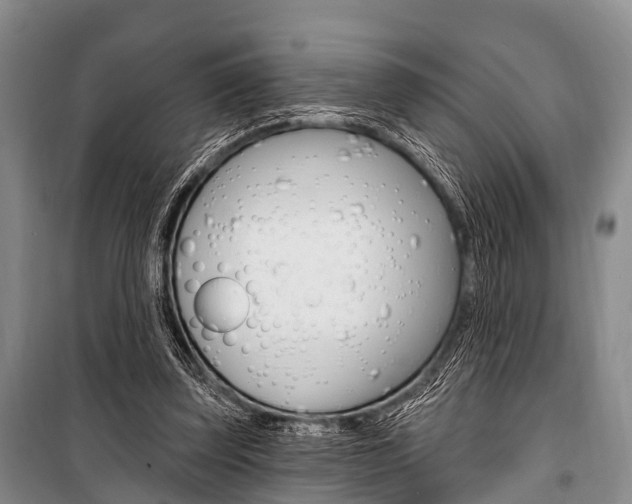 X0000101210347200806270859