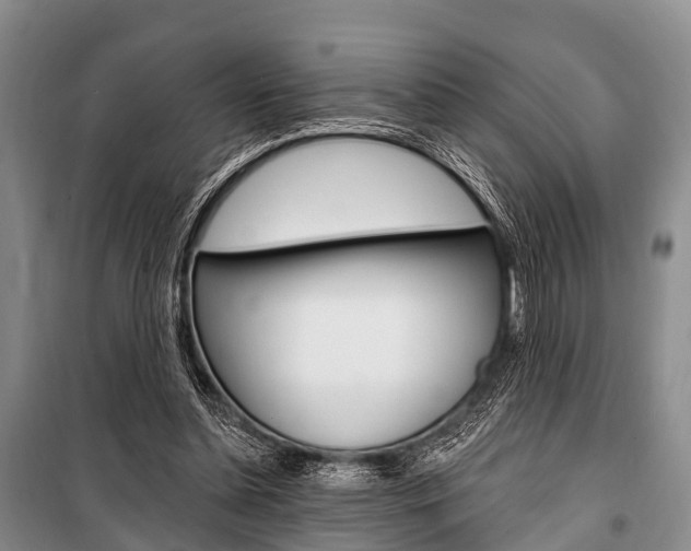 X0000101210348200806270859