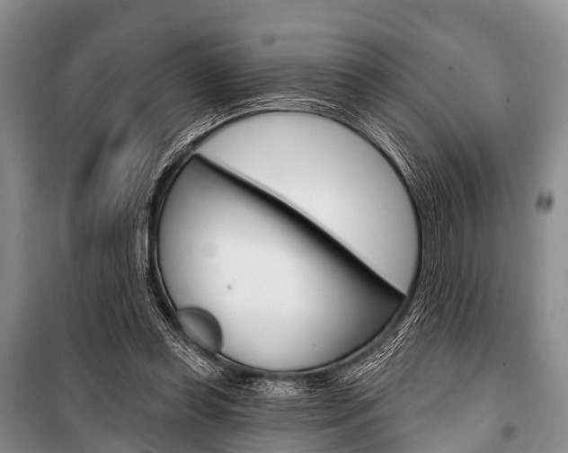 X0000101210349200806270859