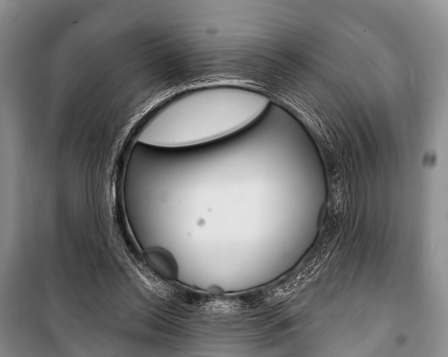 X0000101210350200806270859
