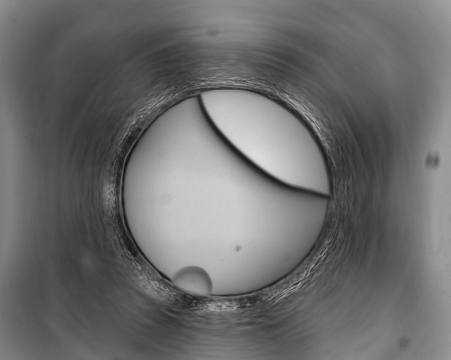 X0000101210353200806270859