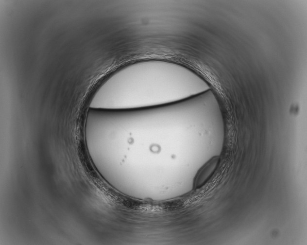 X0000101210354200806270859