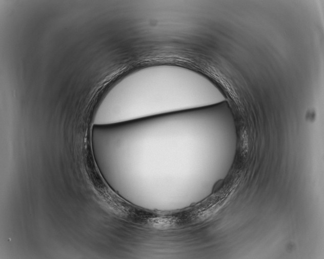 X0000101210356200806270859