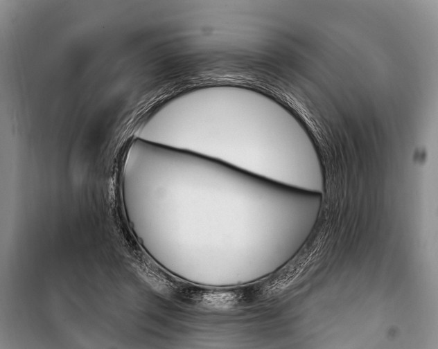 X0000101210357200806270859